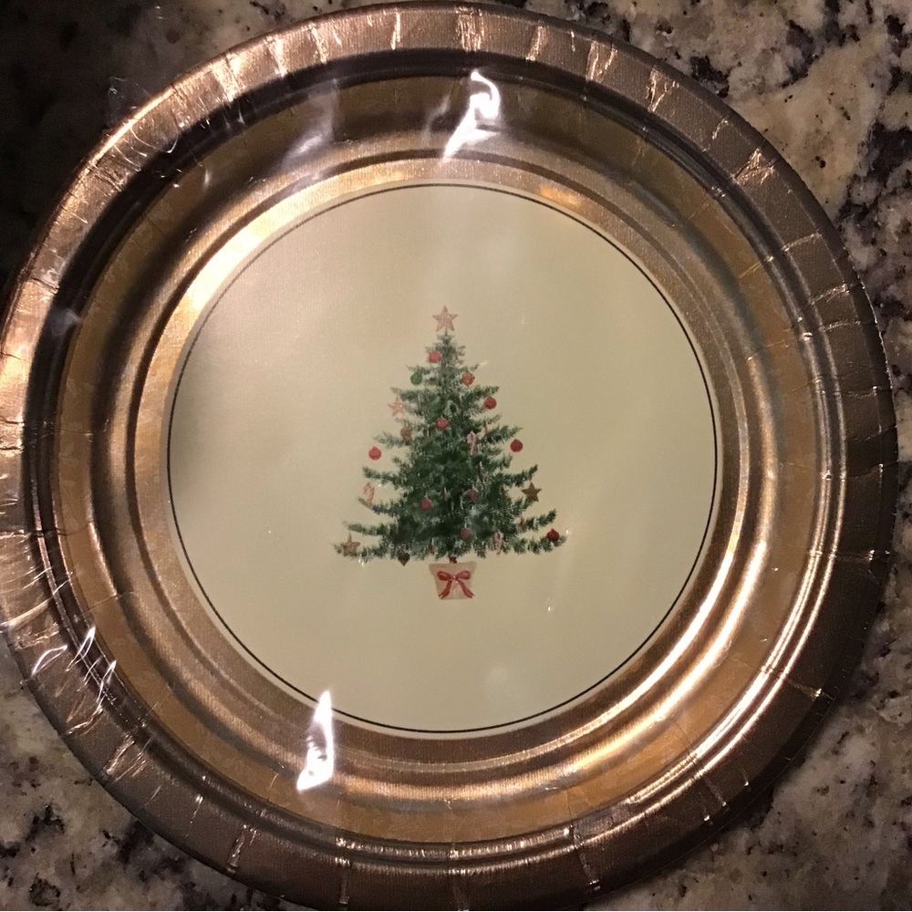 3 sets of 8 Christmas plates (24 total)